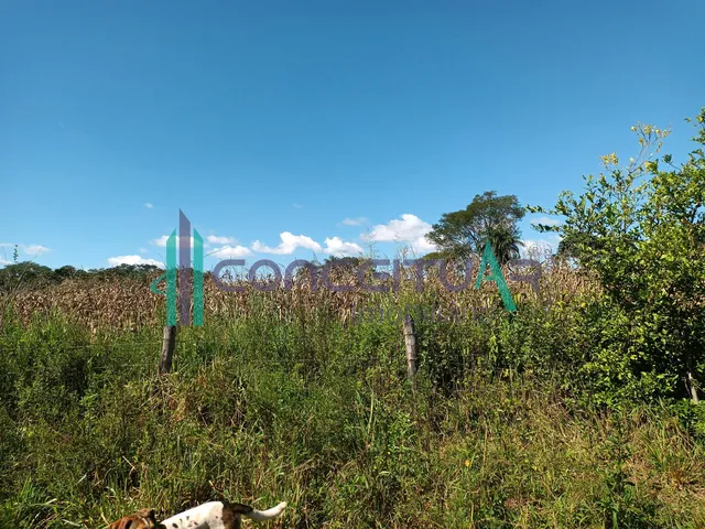 Imagem 8: Terreno À Venda, Terreno com 17,5 Hectares, Zona Rural, Pains - Mg