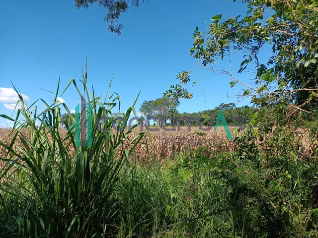 Imagem 10: Terreno À Venda, Terreno com 17,5 Hectares, Zona Rural, Pains - Mg