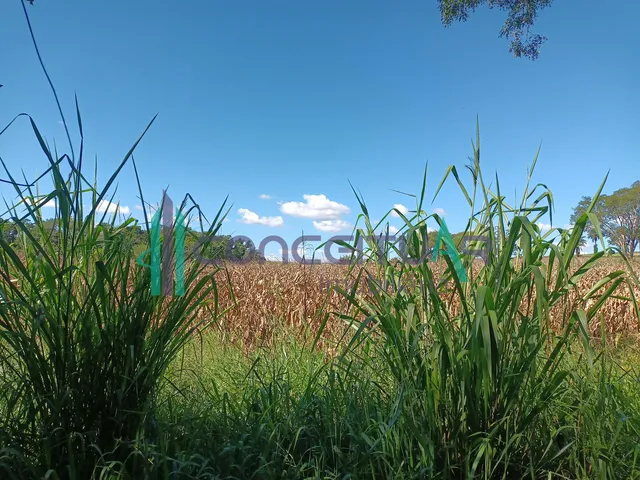Imagem 11: Terreno À Venda, Terreno com 17,5 Hectares, Zona Rural, Pains - Mg