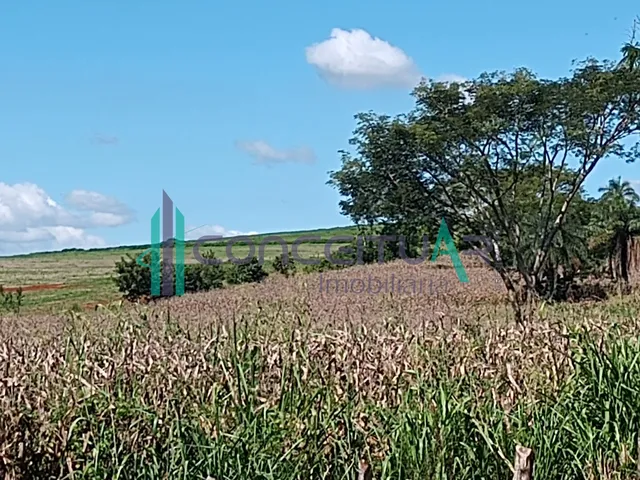 Imagem 13: Terreno À Venda, Terreno com 17,5 Hectares, Zona Rural, Pains - Mg