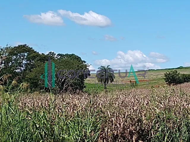Imagem 15: Terreno À Venda, Terreno com 17,5 Hectares, Zona Rural, Pains - Mg