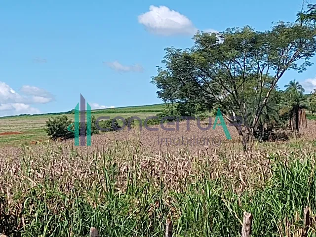 Imagem 16: Terreno À Venda, Terreno com 17,5 Hectares, Zona Rural, Pains - Mg