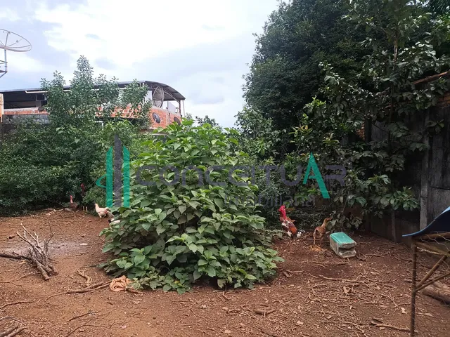 Imagem 7: Lote de 375 Metros Quadrados Todo Murado À Venda, Araújos, Pains - Mg
