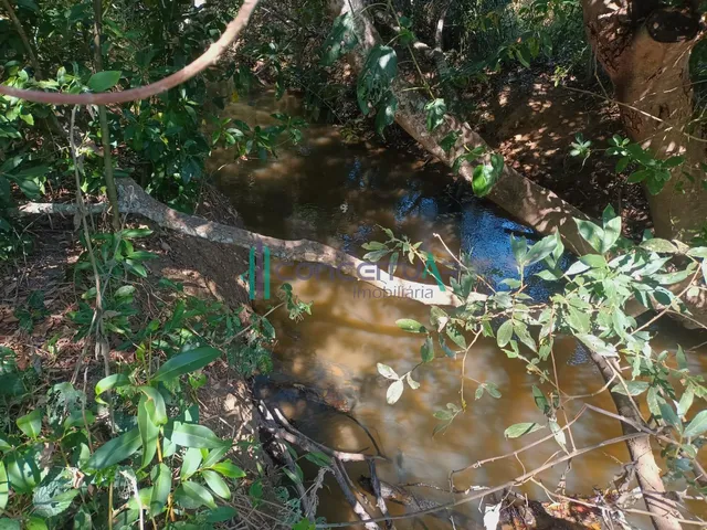Imagem 2: Sítio À Venda, Zona Rural, Arcos - Mg