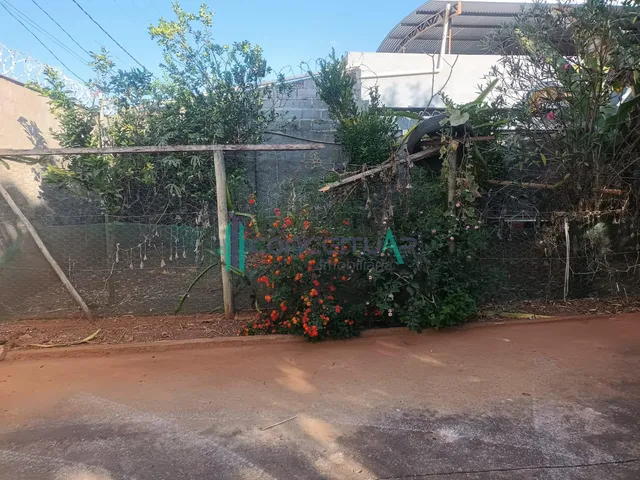 Imagem 7: Chácara com Área Gourmet e Pomar Formado, Centro, Pains Mg