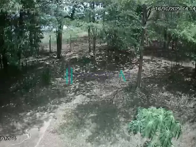 Imagem 8: Chácara À Venda, Vila Olímpica, Planura - Mg, com 17.622,76 Metros Quadrados