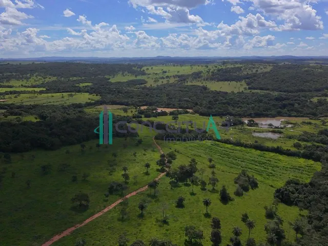 Imagem 14: Fazenda À Venda 197 Hectares, Zona Rural, Divinopolis - Mg