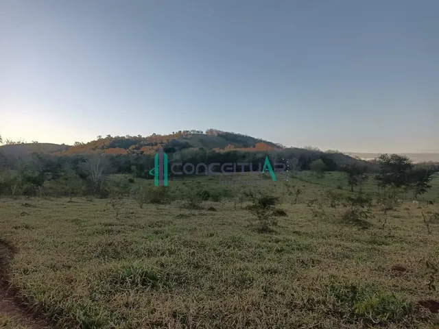 Imagem 11: Fazenda com 30 Hectares, À Venda, Zona Rural, Pains/Mg