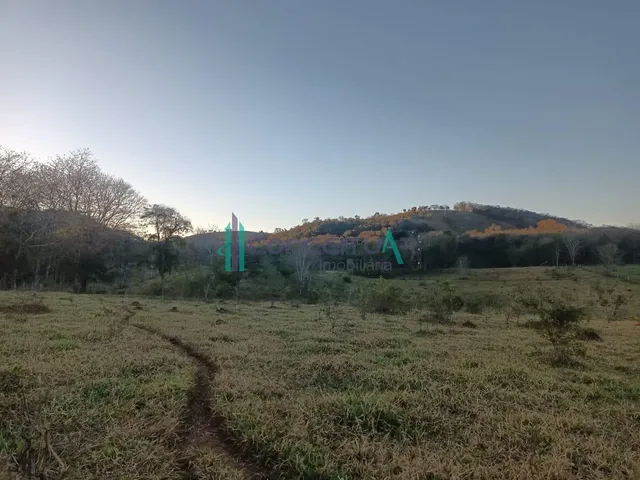 Imagem 13: Fazenda com 30 Hectares, À Venda, Zona Rural, Pains/Mg