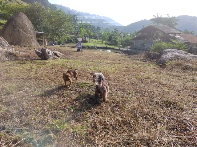 Imagem 9: Terreno - Centro - Pomerode - Sc