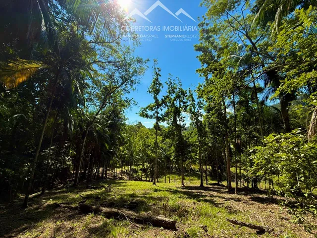 Imagem 3: Terreno - Centro, Pomerode Sc