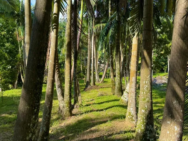 Imagem 7: Terreno - Centro, Pomerode Sc