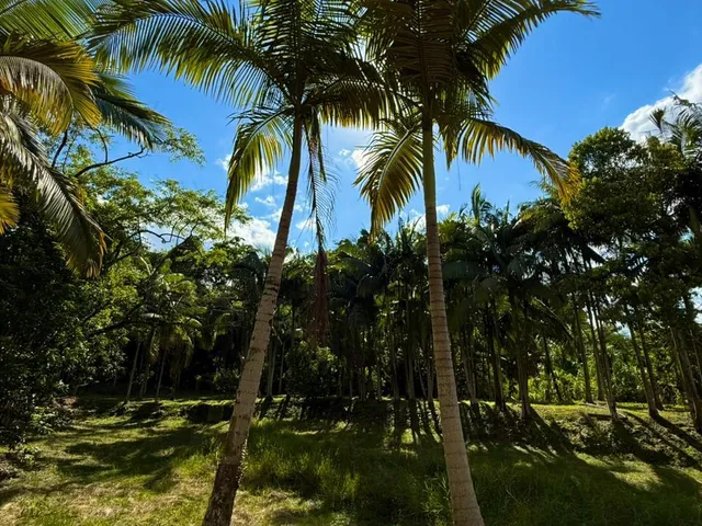 Imagem 13: Terreno - Centro, Pomerode Sc