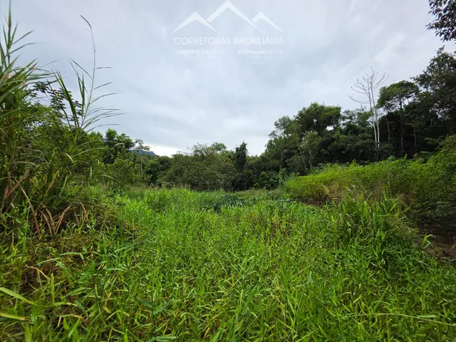 Imagem 3: Terreno - Testo Rega, Pomerode Sc