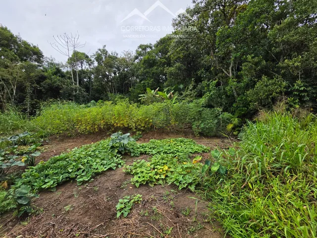 Imagem 5: Terreno - Testo Rega, Pomerode Sc