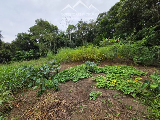 Imagem 7: Terreno - Testo Rega, Pomerode Sc