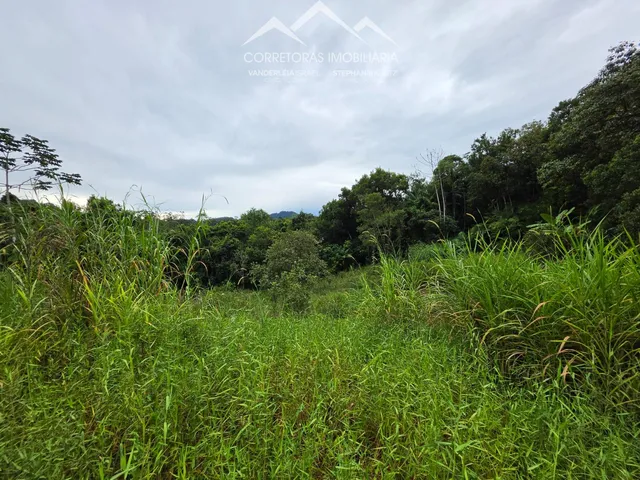 Imagem 9: Terreno - Testo Rega, Pomerode Sc