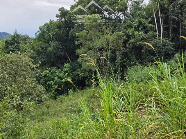 Imagem 13: Terreno - Testo Rega, Pomerode Sc