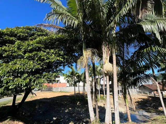 Imagem 12: Casa - Testo Rega, Pomerode Sc
