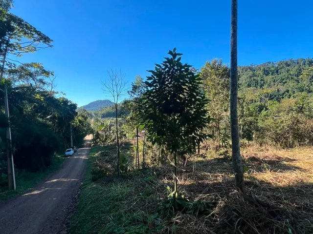 Imagem 5: Terreno - Testo Alto, Pomerode Sc