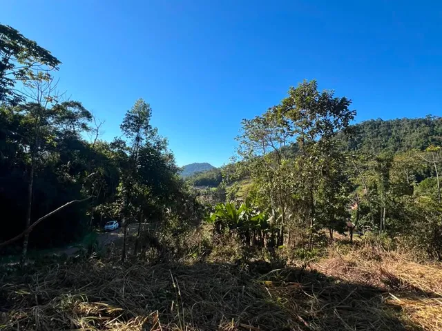 Imagem 7: Terreno - Testo Alto, Pomerode Sc