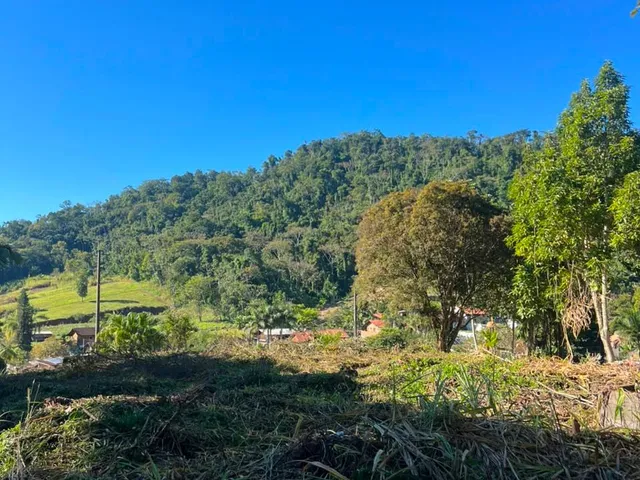 Imagem 9: Terreno - Testo Alto, Pomerode Sc