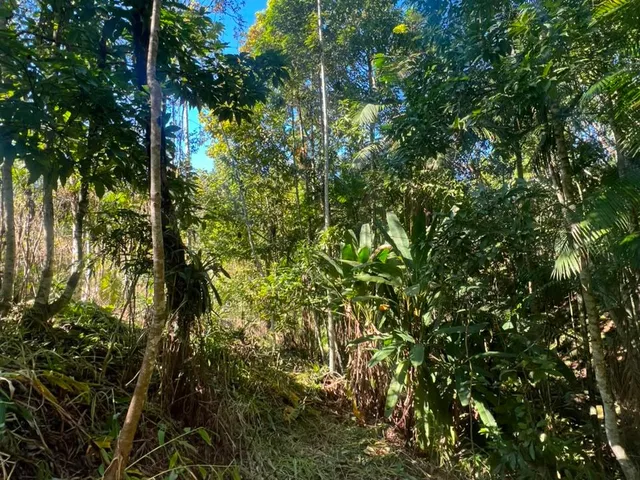 Imagem 10: Terreno - Testo Alto, Pomerode Sc