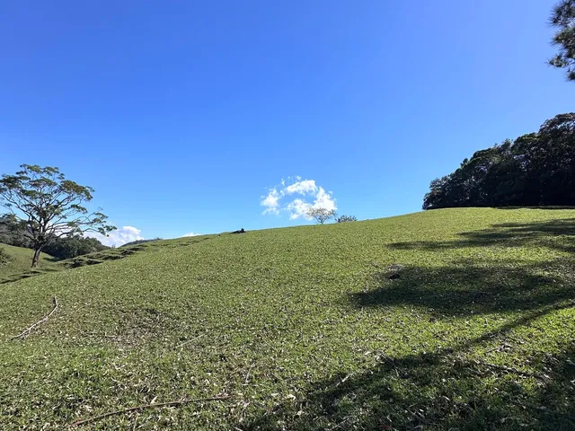 Imagem: Sítio, Wunderwald, Pomerode - Sc