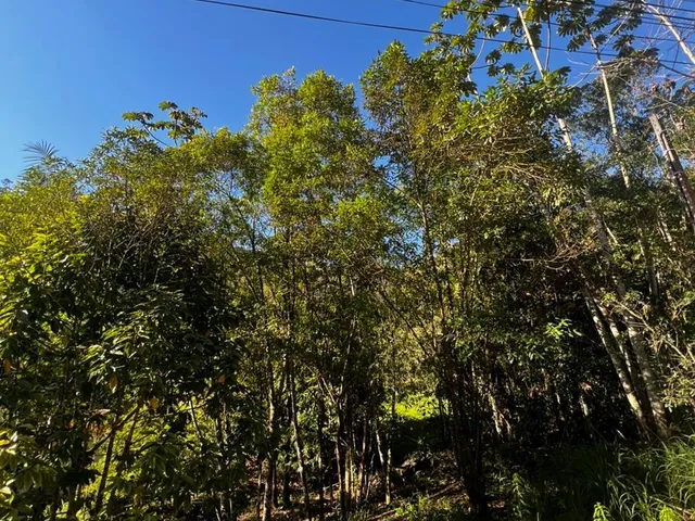 Imagem 16: Sítio - Centro, Pomerode Sc