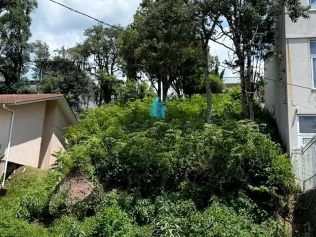 Imagem 3: Terreno À Venda no Bairro Santo Antão - Bento Gonçalves/Rs