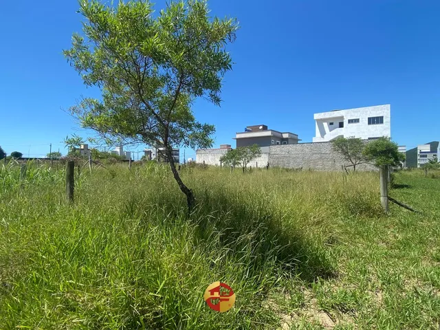 Imagem: Lote com Escritura Pública - Village