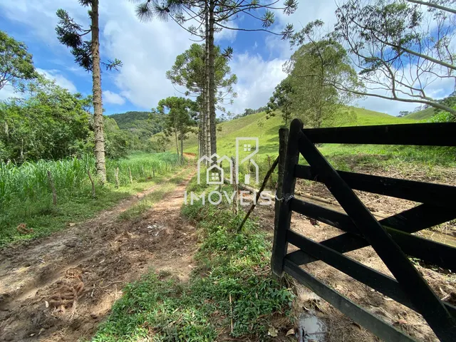Imagem 16: Sítio À Venda em Barbacena - Mg com 400.000 M² em Correia de Almeida