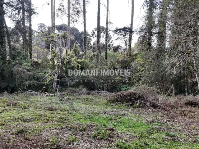 Imagem 8: 0 Terreno / lote com venda por R$800.000