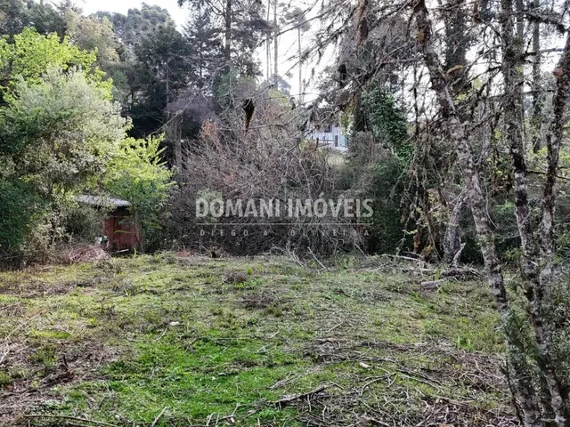 Imagem 9: 0 Terreno / lote com venda por R$800.000