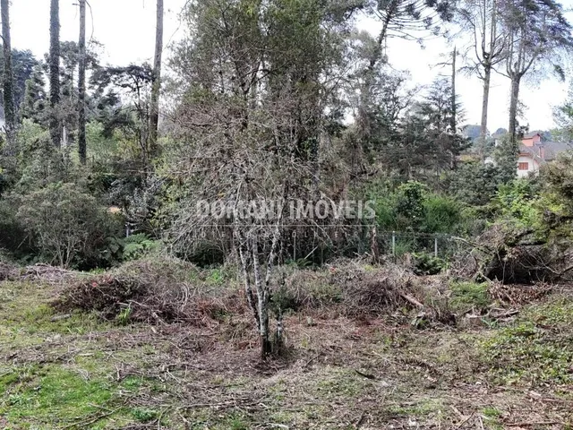 Imagem 13: 0 Terreno / lote com venda por R$800.000