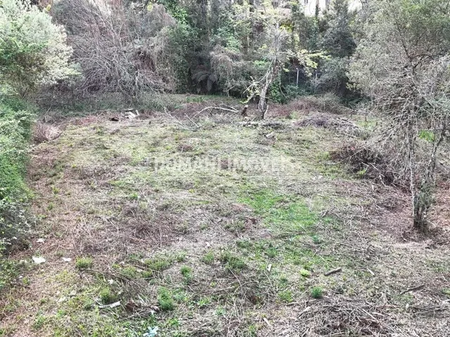Imagem 10: 0 Terreno / lote com venda por R$800.000