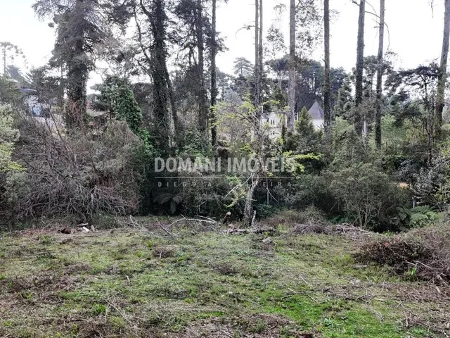 Imagem 7: 0 Terreno / lote com venda por R$800.000