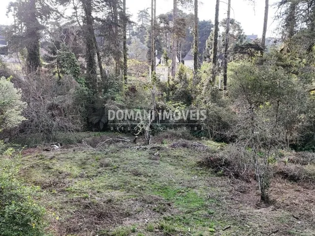 Imagem 16: 0 Terreno / lote com venda por R$800.000