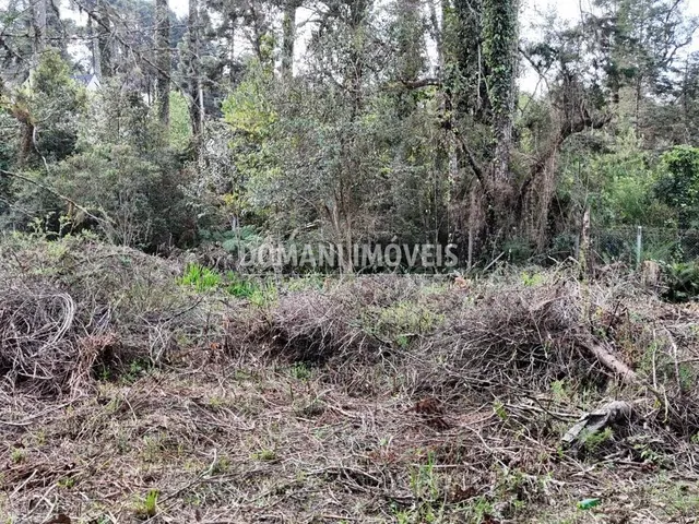 Imagem 2: 0 Terreno / lote com venda por R$800.000