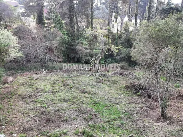 Imagem 12: 0 Terreno / lote com venda por R$800.000