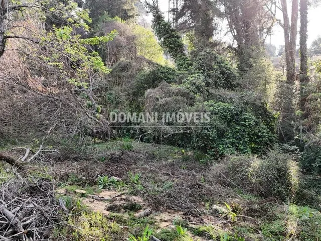Imagem 5: 0 Terreno / lote com venda por R$800.000