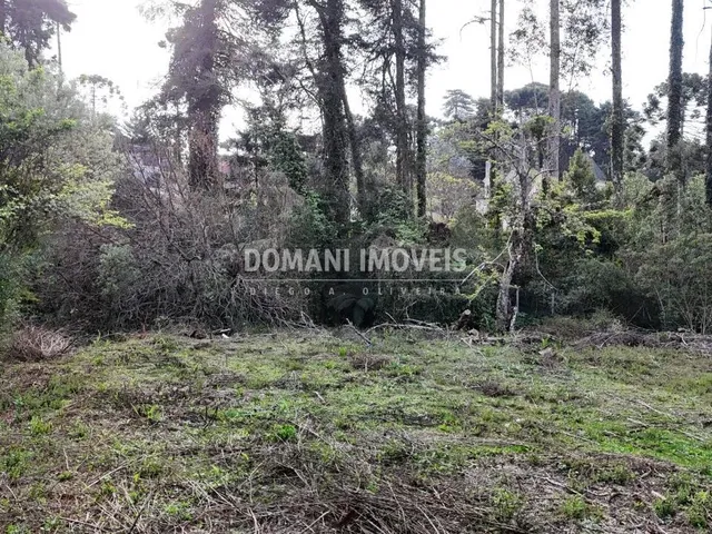 Imagem 11: 0 Terreno / lote com venda por R$800.000