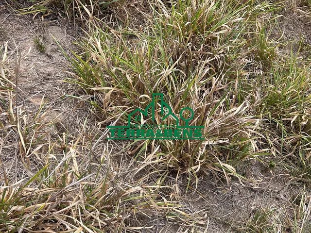Imagem 16: Chácara À Venda, Zona Rural, Machadinho Doeste - Ro