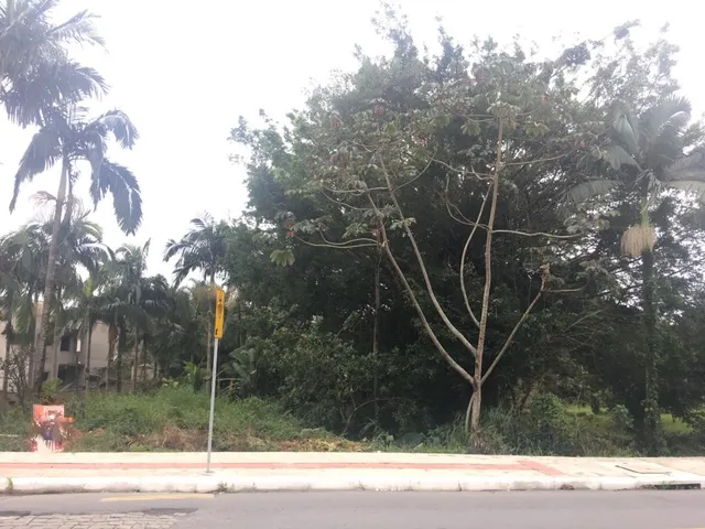 Imagem: Terreno com Nascente de Água Mineral