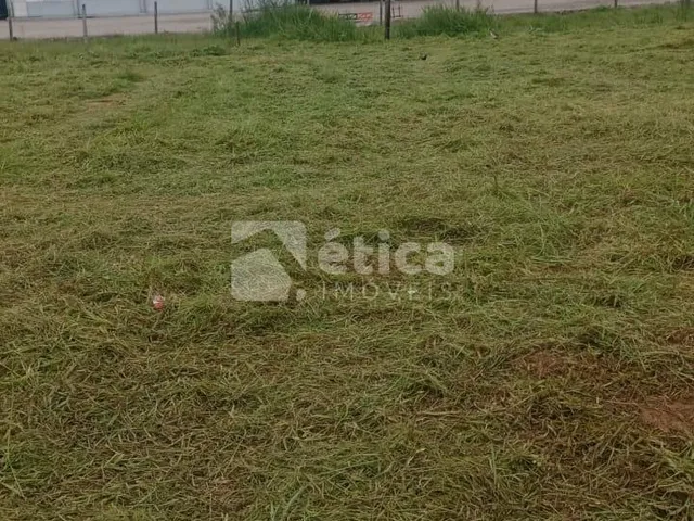 Imagem 2: Terreno Industrial em Joinville com 500M - Ideal para Galpão