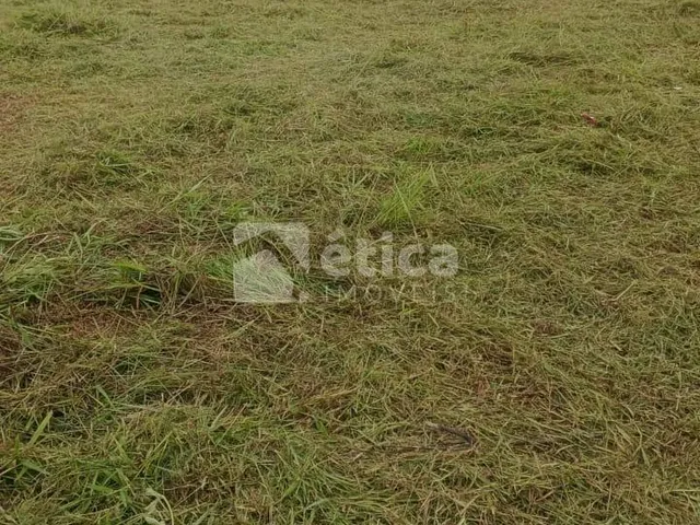 Imagem 3: Terreno Industrial em Joinville com 500M - Ideal para Galpão