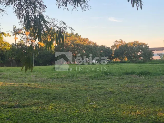 Imagem 6: Área Comercial para Locação na Barra do Rio Itajaí/Sc