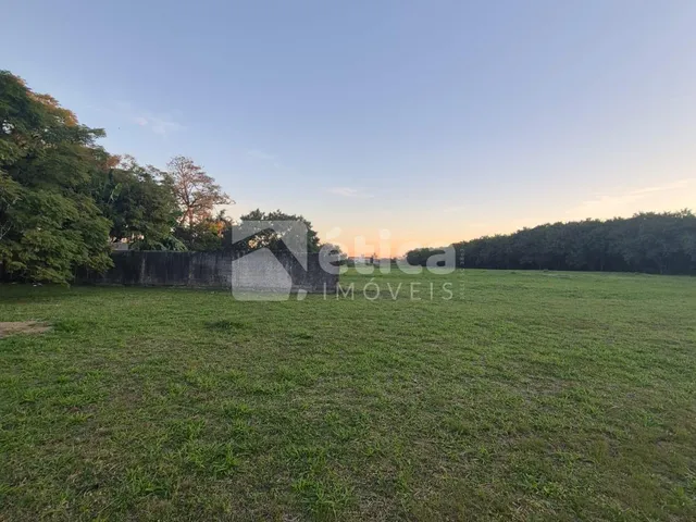 Imagem 8: Área Comercial para Locação na Barra do Rio Itajaí/Sc