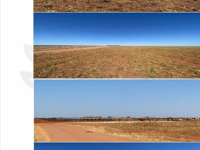 Imagem 3: Rural, Zona Rural, Lucas do Rio Verde - Mt