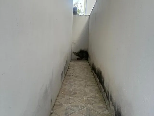 Imagem 4: 0 Casa com 3 dormitórios